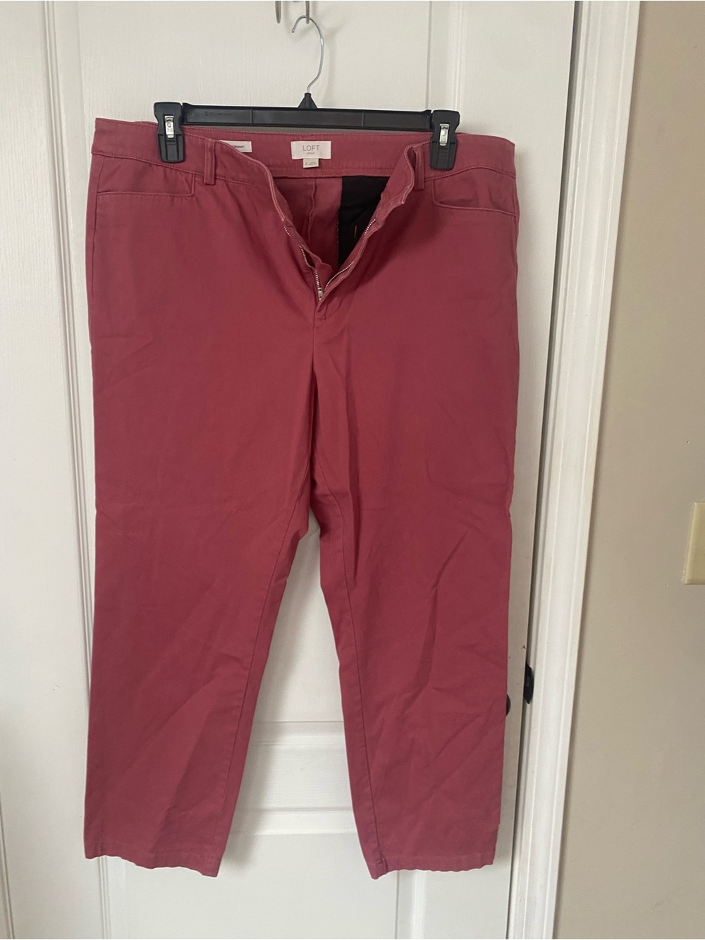 LOFT Men’s Rose-Mauve Chino Pants